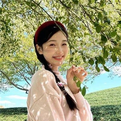 孔雀南飞